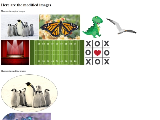 imitation-assignment screenshot