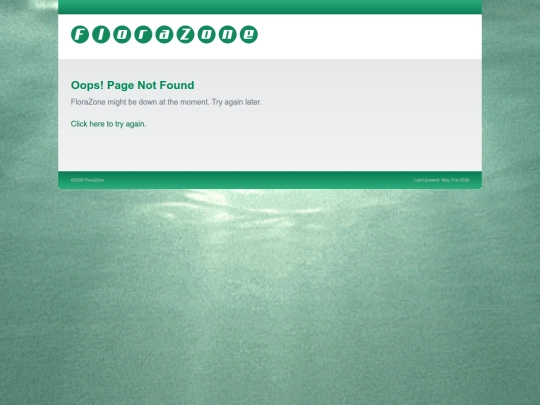 404 screenshot