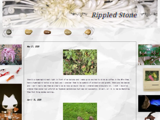 website/blog screenshot