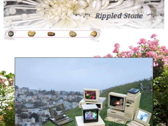 website/media screenshot