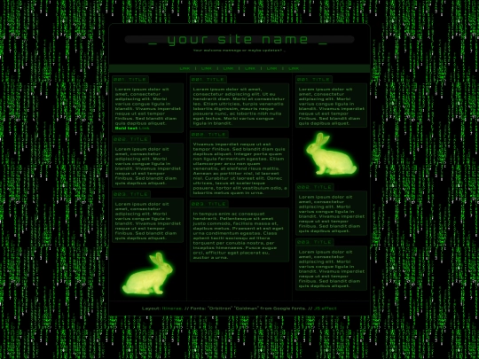 leishurecom screenshot