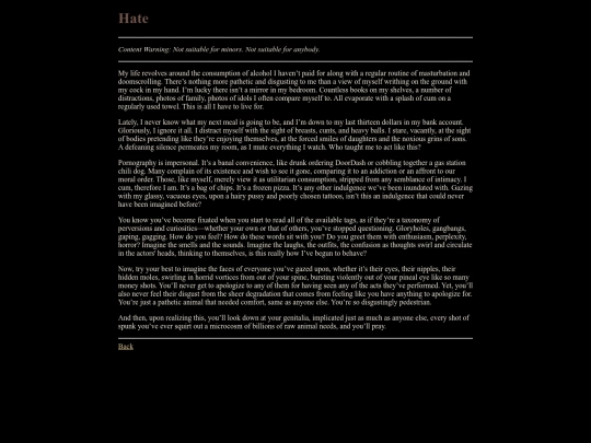 journal/hate screenshot