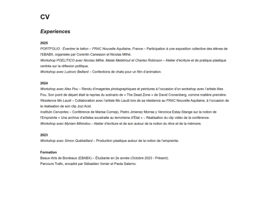 CV screenshot