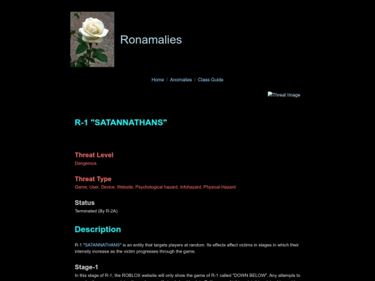 r-1 screenshot