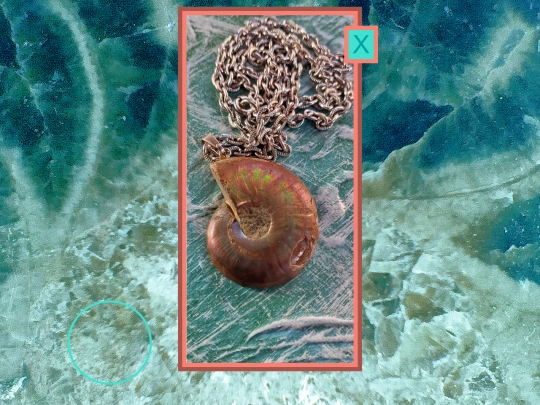 shells/shellsshell2 screenshot