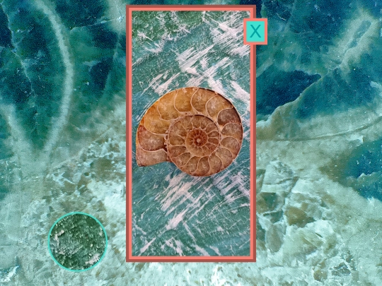 shells/shellsshell5 screenshot