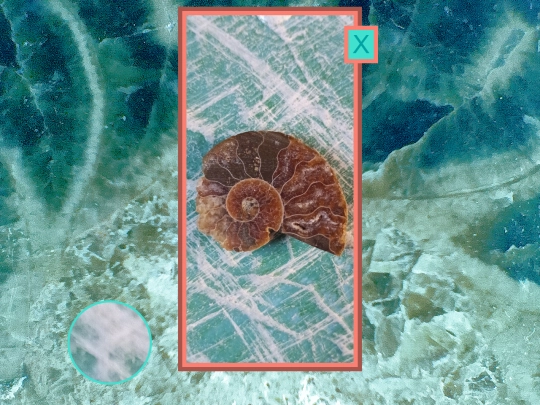 shells/shellsshell6 screenshot