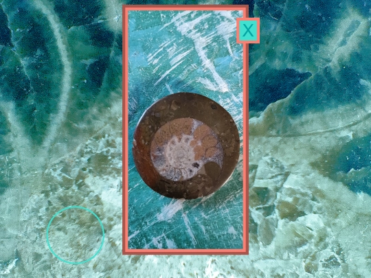 shells/shellsshell8 screenshot