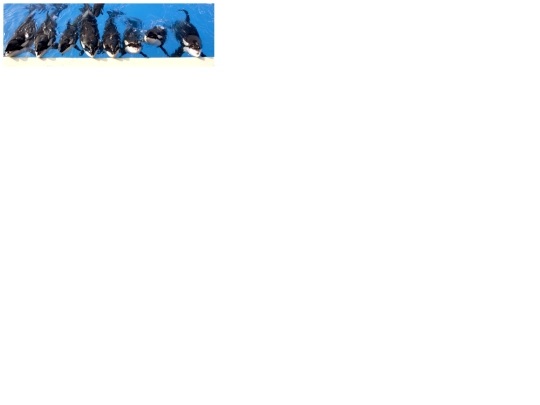test screenshot
