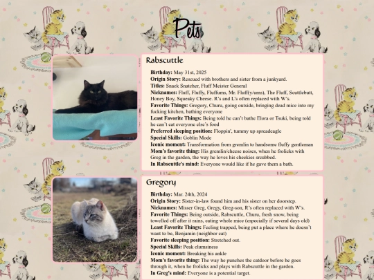 pets/pets screenshot