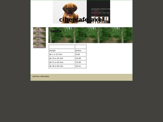 paginas/quienessomos screenshot