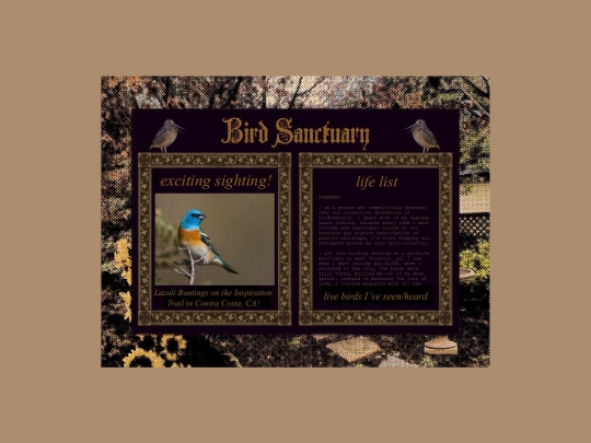 birdsanctuary screenshot