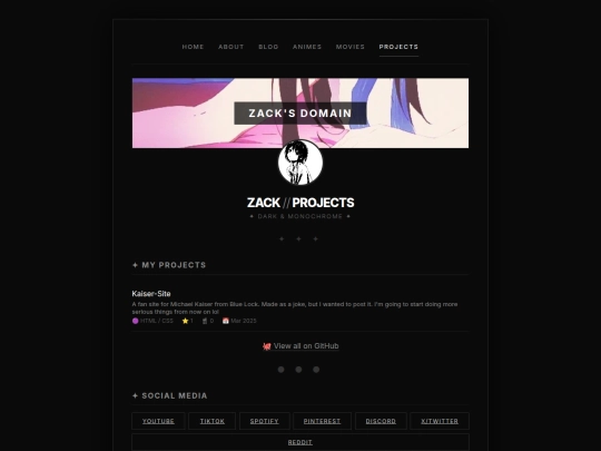 projects screenshot