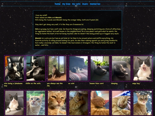 cats screenshot