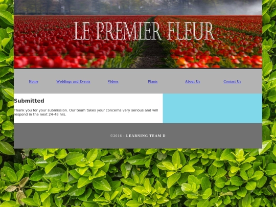 Team D Submission Page screenshot