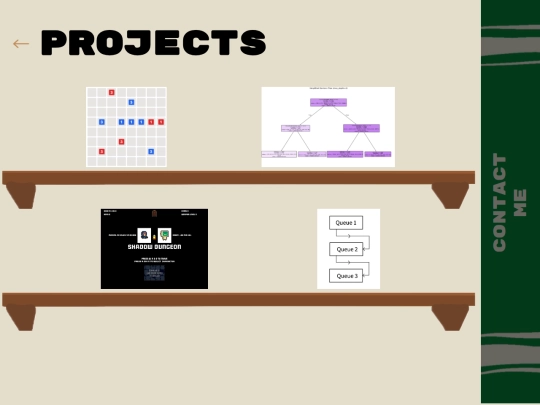 projects screenshot