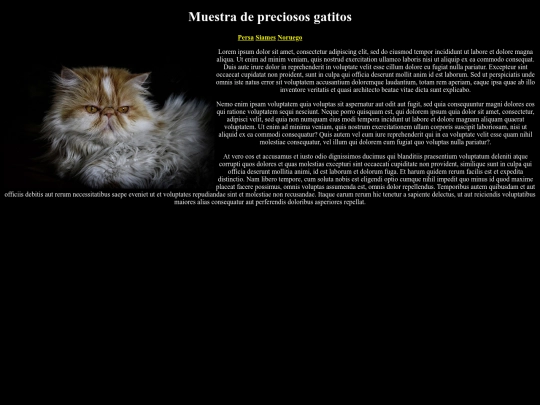 Examen screenshot