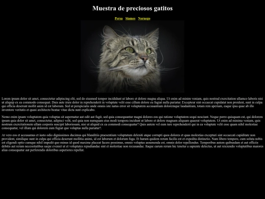 Examen/noruego screenshot