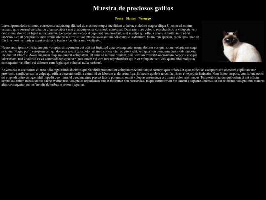 Examen/siames screenshot