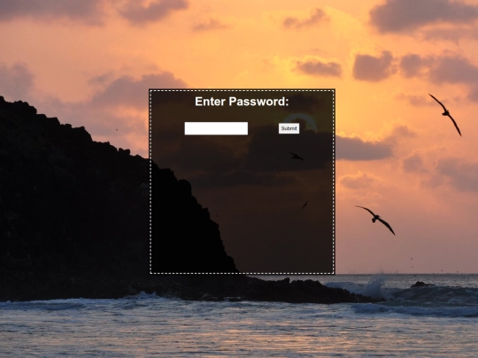password screenshot