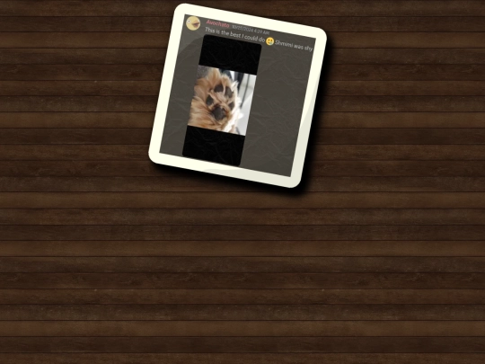 michael screenshot