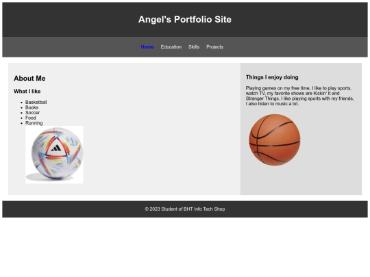 AngelPortfolio screenshot