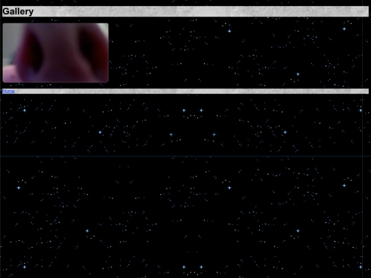 gallery screenshot