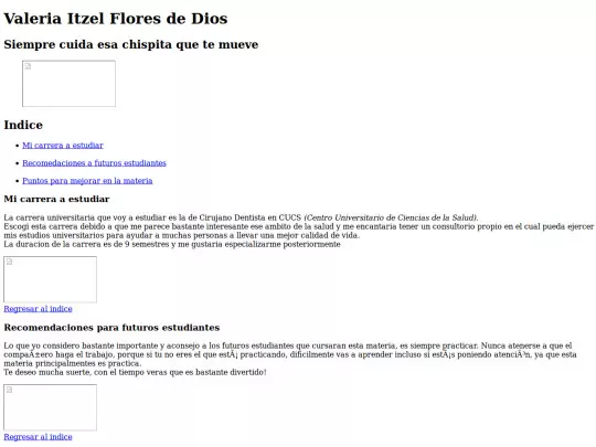 VALERIA/Curriculo screenshot