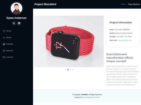portfolio-details screenshot