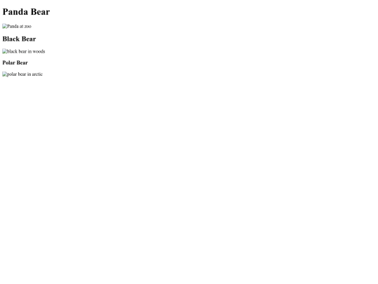 BearsGalleryhtml screenshot