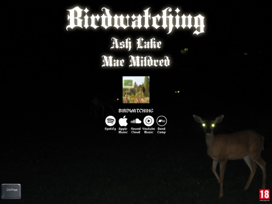 birdwatching screenshot