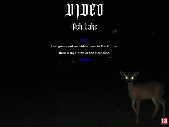 videos screenshot