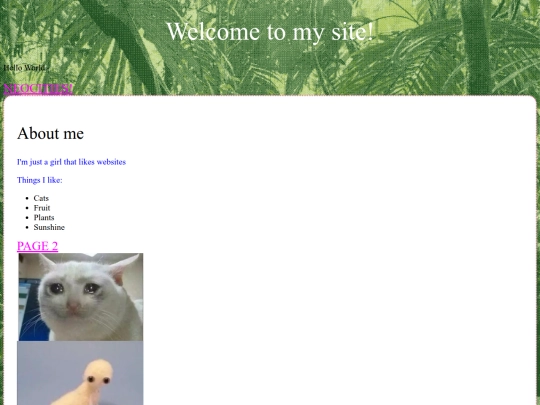 class screenshot