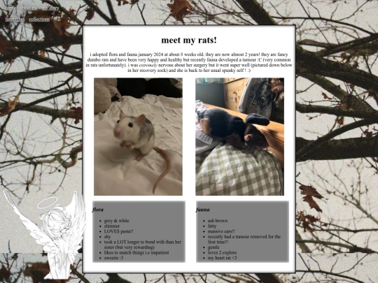 pets screenshot