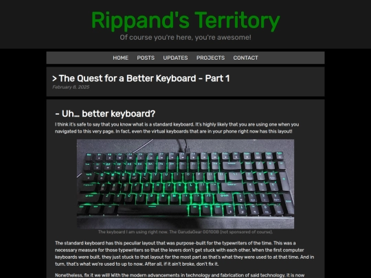 posts/2025/02/ergo-keyboard-saga-1 screenshot