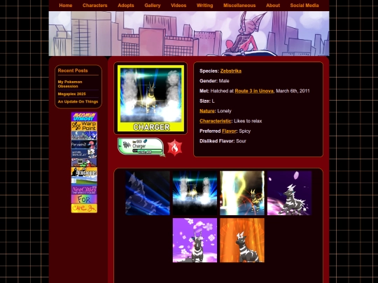 adopts/pokemon/charger screenshot