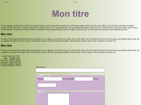 index/exemple screenshot