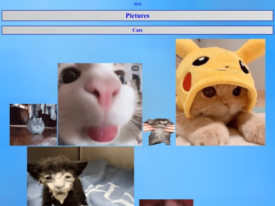 gallery screenshot