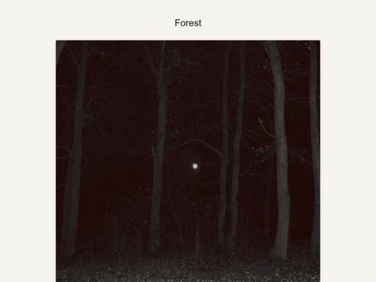 project1 screenshot