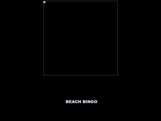 2024-Events/BeachBlanketBingo/quinny screenshot