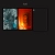 worriedidiot.yorniq.xyz avatar