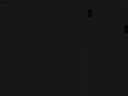 pronuncia/lezione21 screenshot