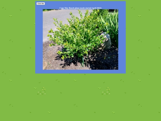 nature screenshot