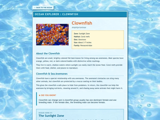 fish/clownfish screenshot