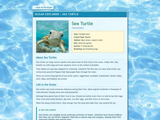 fish/sea-turtle screenshot