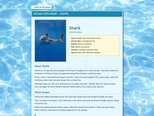 fish/shark screenshot