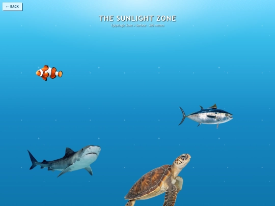 ocean screenshot