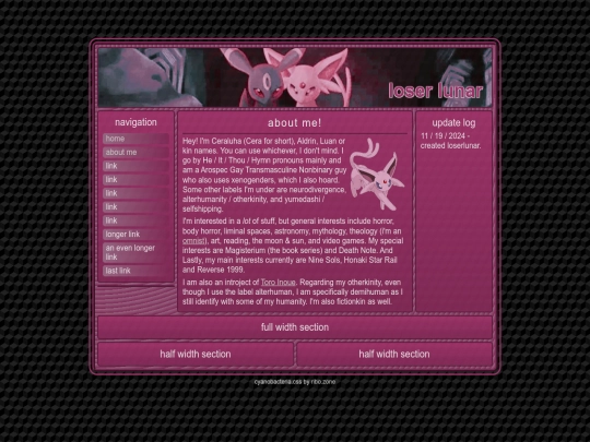 webmaster screenshot