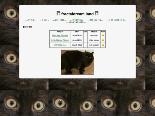 projects screenshot