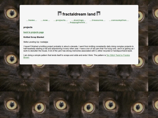 projects/knitted_scrap_blanket screenshot